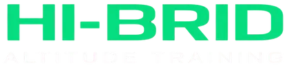 Hibrid Logo